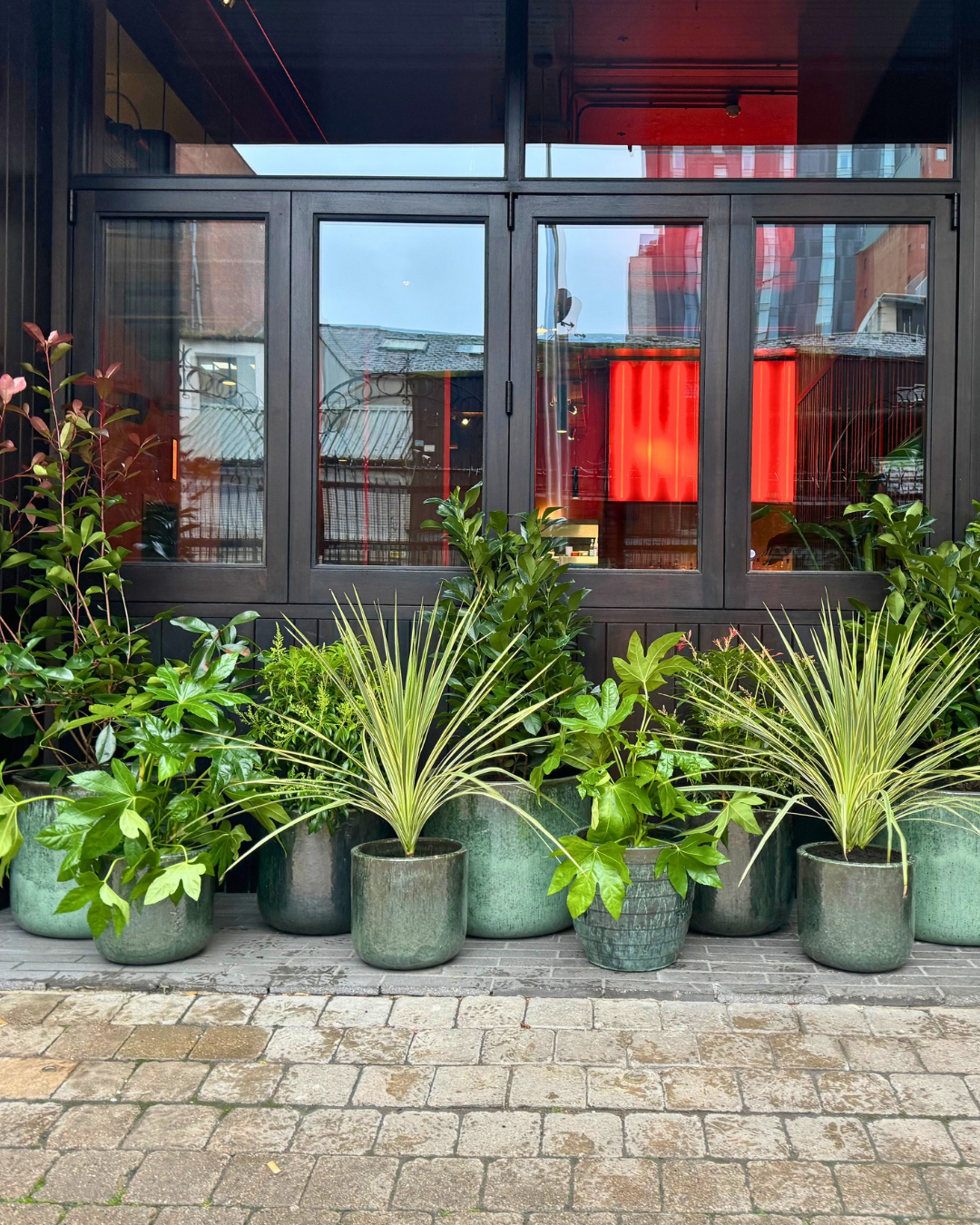 Memento Belfast flowers, plants and creative work