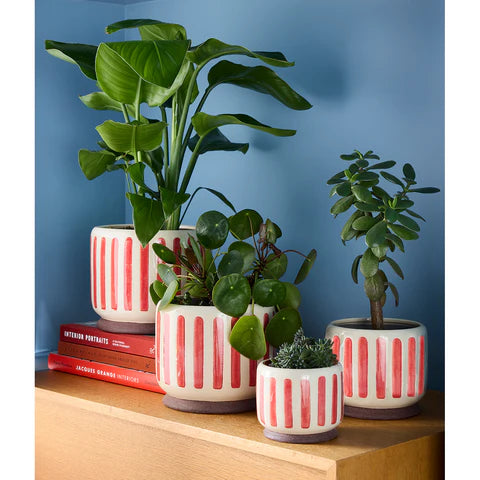 Red Stripe Pot