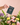 3 Month Flower Subscription