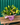 A fresh flower bouquet with yellow lily buds, green foliage, and peach-pink lilies arranged in a purple box wrapped in pink tissue paper, set on a wooden bench against a teal corrugated metal background.
