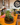 Memento x Northern Lights | Terrarium Building & Craft Beer | Sat, 4th July