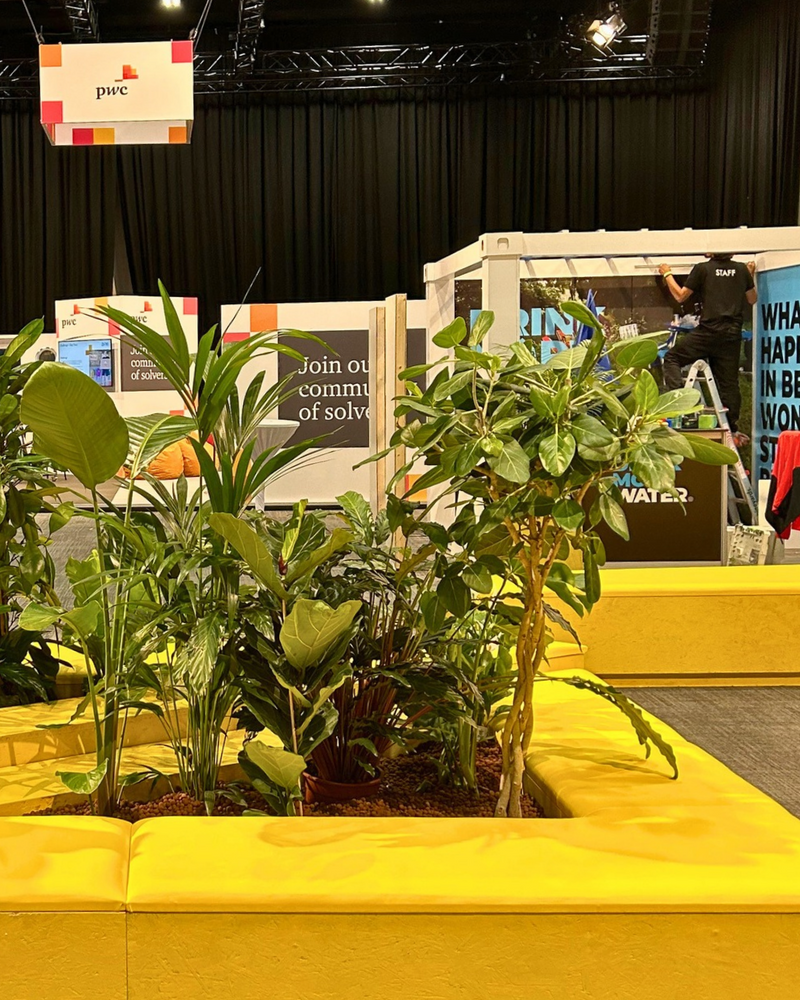Holding image for plant hire & styling — replace with your project photo