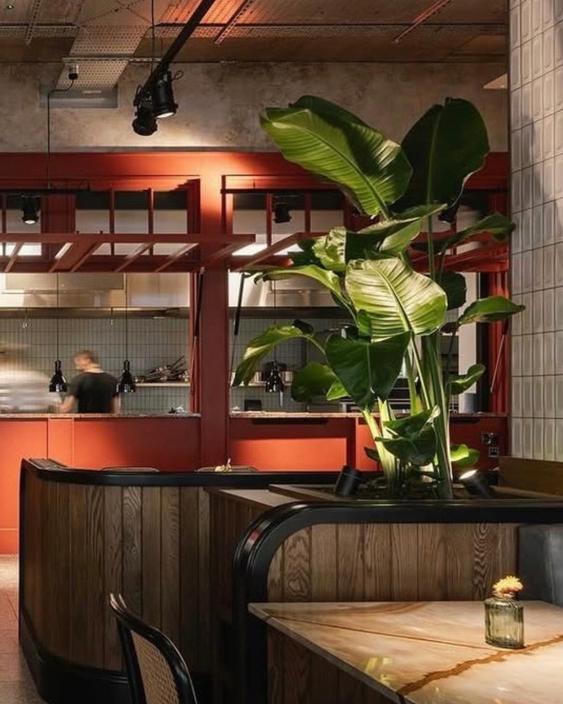 Holding image for plants for interiors — replace with your project photo
