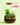 Build a Terrarium