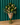Bunch’d: Lilies