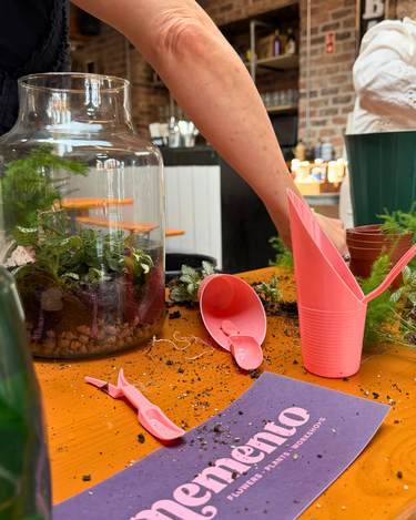 Tropical Greenhouse Terrarium | Fri 9th Oct, 6:00pm |  Memento Store