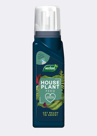 Westland Houseplant Feed Concentrate 200ml