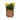 Giraffe Print Planter