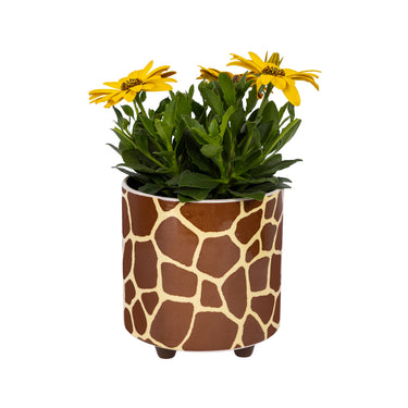 Giraffe Print Planter