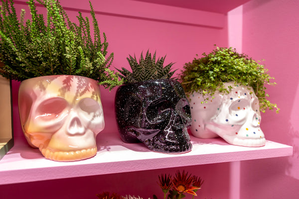Skull Planter in Polka Dots