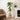 Beige Matt Planter with Black Stand