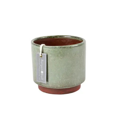 Malibu Medium - Green