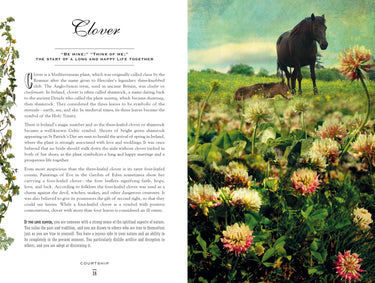 The Secret Language of Flowers