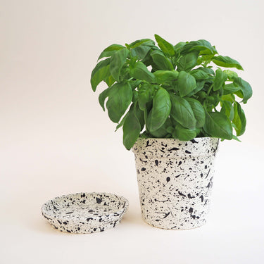 Splatter Plant Pot & Dish