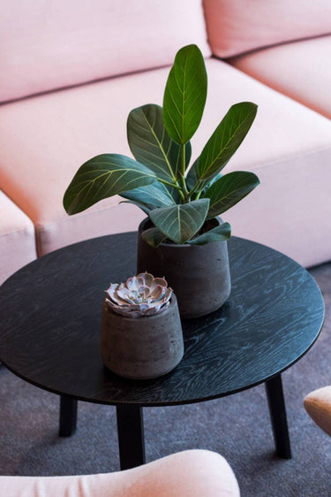 Patt Pot in Black Washed