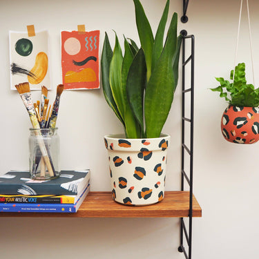 Leopard Print Planters