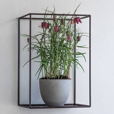 Coral Planter in Clouded Grey