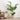 Beige Scallop Planter with Stand