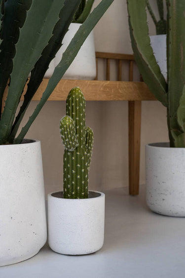 Charlie Pot in White Washed